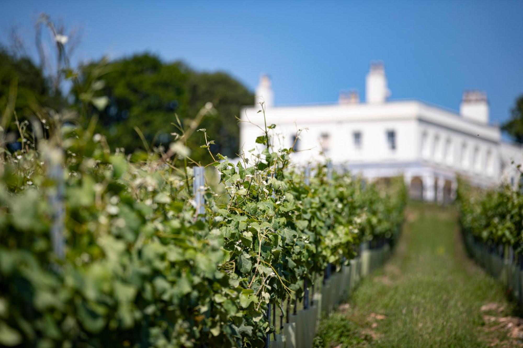 Lympstone Manor Hotel Restaurant & Vineyard - Relais & Chateaux Exmouth Exterior photo