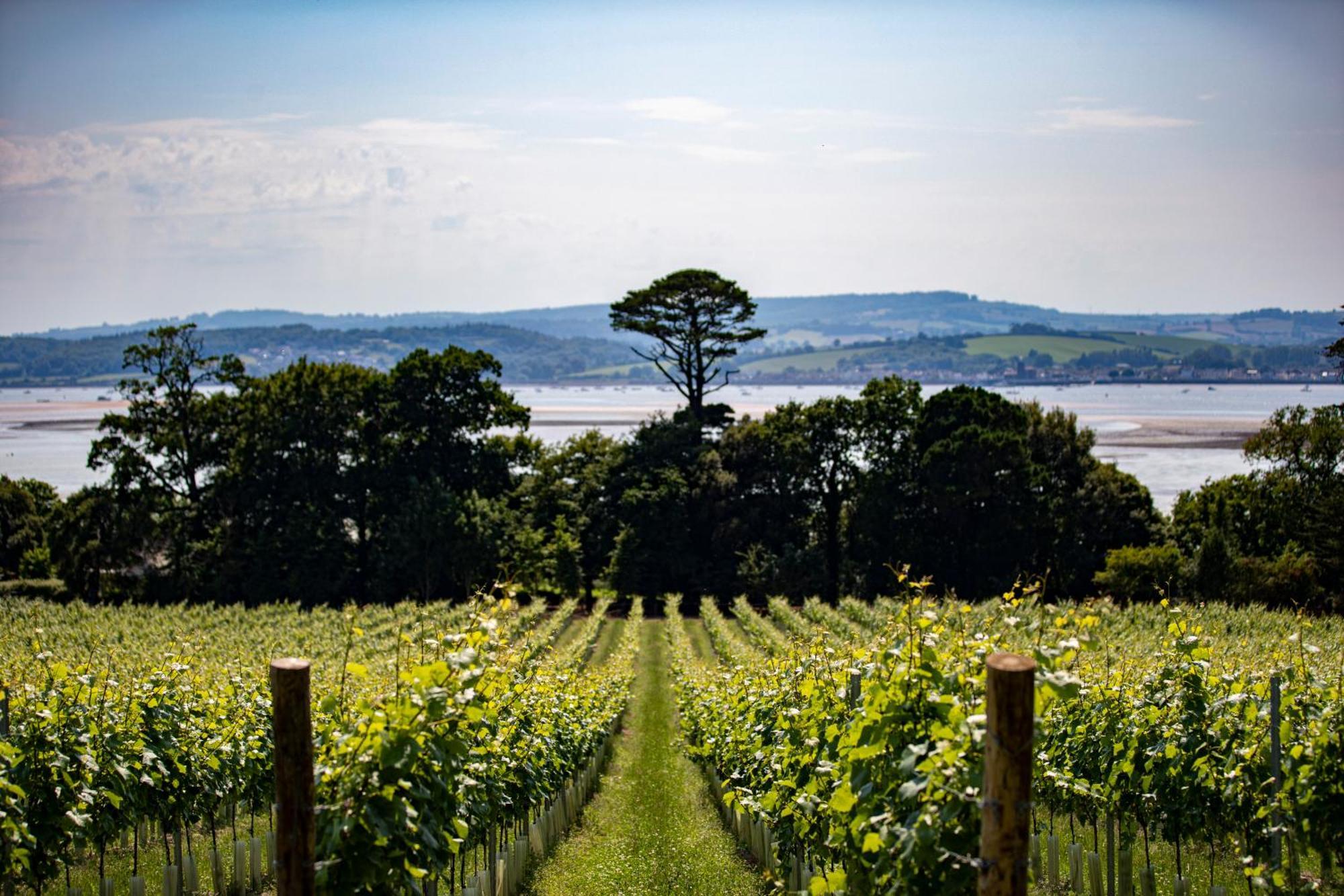 Lympstone Manor Hotel Restaurant & Vineyard - Relais & Chateaux Exmouth Exterior photo