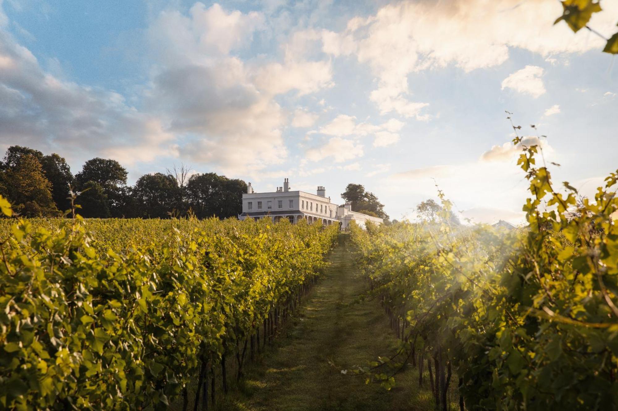 Lympstone Manor Hotel Restaurant & Vineyard - Relais & Chateaux Exmouth Exterior photo